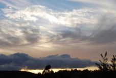 Ingadozó lesz az időjárás júniusban