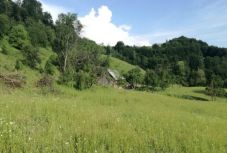 Saját fia találta meg a csaknem két hete eltűnt juhász holttestét