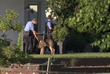 Fejlövés végzett Németországban egy magas beosztású tisztségviselővel