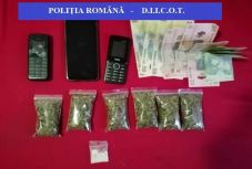 Drogterjesztőket állítottak elő Biharban