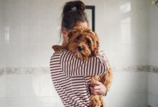 Kiderült: ha stresszesek vagyunk, a kutyánk is az lesz