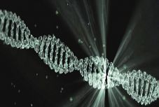 Bogdán Tibor: A „dâmbovițai filozófia” román bírálata