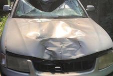 Elfogták a cserbenhagyásos gázolás gyanúsítottját