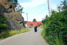 Medve tévedt be egy Gyulafehérvár melletti településre