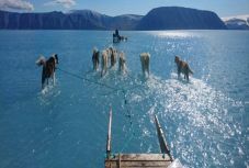 Szász István Szilárd: Amikor hőgutát kap az ember