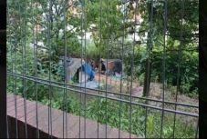 Rágyújtották a sátrat Londonban két román vendégmunkásra, az egyik meghalt a tűzben