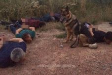 A Dunán illegálisan átkelt bevándorlókat fogott el a román határrendészet