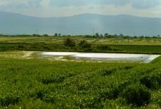 Háromszáz hektárnyi belvizes terület okoz gondot Hargita megyében