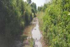 Szász István Szilárd: A rövidebb út