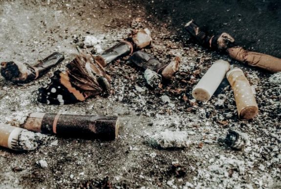 Növénypusztító hatásúak lehetnek az eldobott cigarettacsikkek