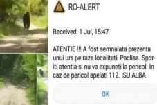 Ismét medvét láttak Gyulafehérvár közelében