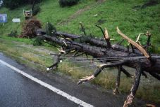 Az ország egynegyedében okozott károkat a vihar