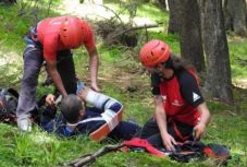 Bonyolódott a medve által megtámadt csendőr ügye