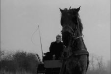 Magyar film is van a 2010-es évek legjobbjait felsoroló listán