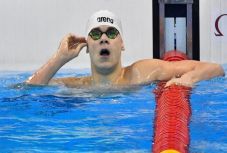 Vizes vb - Szexuális zaklatással vádolják Kenderesi Tamást