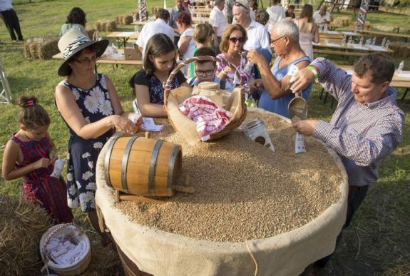 Magyarok Kenyere: összeöntötték a Kárpát-medencei gazdák által adományozott búzát