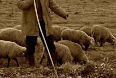 Ittas juhász hívta a 112-őt, azt mondta: elrabolták