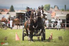 Ismét megszervezik a Székelyföldi Lovas Ünnepet Gyergyószentmiklóson