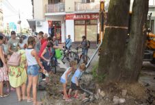 Civilek mentették meg a szatmárnémeti Sugárút egyetlen fáját