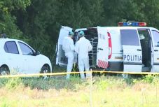 Nem azonosítottak DNS-mintát a caracali erdőben talált csontmaradványokon