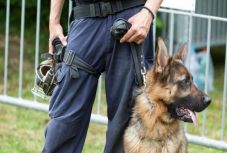 Megszöktek a javítóintézetből, a figyelmeztető lövésekre sem álltak meg