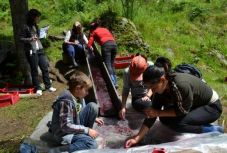 Mi marad a medvének? Évente sok ezer tonna erdei gyümölcsöt és gombát exportál Románia