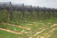 Jégeső elleni rendszert helyeznek üzembe Maros megyében 