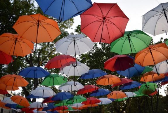 Állatkerti sétától a jazzig a Vásárhelyi Forgatagon – képeken mutatjuk az elkapott pillanatokat