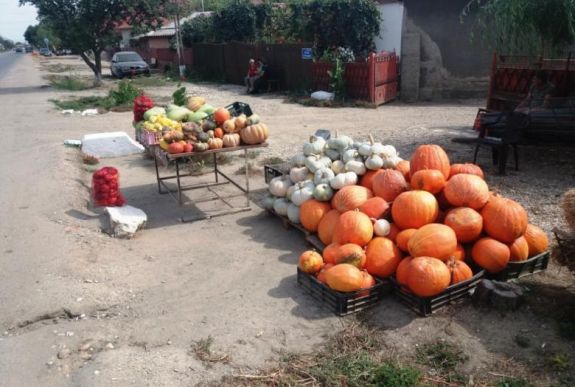 Erdélyből Tibetbe, Kőrösi Csoma Sándor nyomában: 10. nap – szeptember 10.