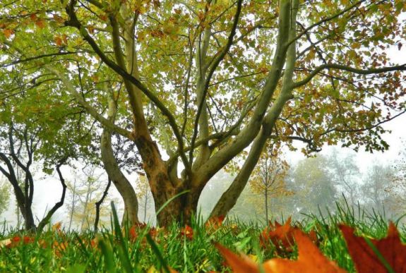 Tíz fok különbség is lehet az ország északi és déli része között szombaton