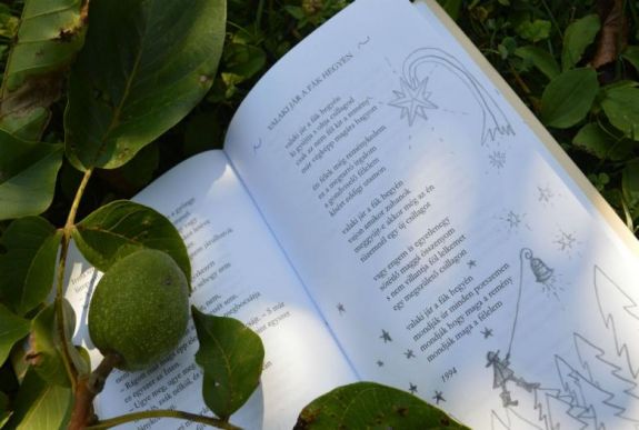 Térképen követhető, hogy merre „sétált” Kányádi Kolozsváron