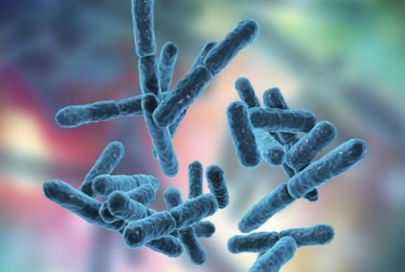 Szakértő: néhány év alatt ellenállóvá válhat egy baktérium