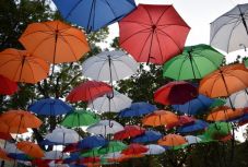 Állatkerti sétától a jazzig a Vásárhelyi Forgatagon – képeken mutatjuk az elkapott pillanatokat