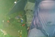 Sátrában alvó turistára támadt a medve