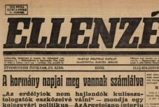 Karosszékből böngészhető múlt: a frissen indult Digitéka programkoordinátorát kérdeztük