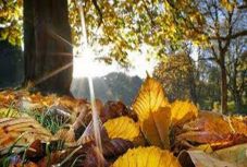 Nem sok esővel kecsegtet a szeptemberi időjárás