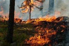 Fiatal erdélyi alkotók Faust-feldolgozásával nyit évadot az Andrei Mureșanu Színház