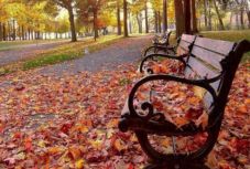 Ilyen időjárásra számíthatunk a következő két hétben