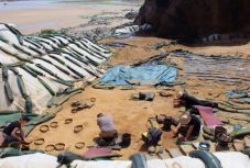 A neandervölgyiek nyomait tárták fel Franciaországban