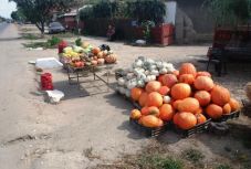 Erdélyből Tibetbe, Kőrösi Csoma Sándor nyomában: 10. nap – szeptember 10.