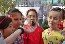 Amazóniai lepkék szállnak az ujjunkra a kolozsvári botanikus kertben