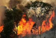 Százmillió dolláros amerikai-brazil befektetési alapot hoznak létre Amazónia védelmére