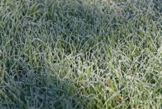 Sarkköri léghullám: jön a fagy Székelyföldön