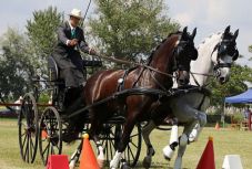 Történelmet írtak a magyarok a kettesfogathajtó-világbajnokságon