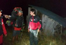 Turistára támadt a medve a Radnai-havasokban