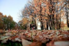 31 fokos nyári időjárással búcsúzik a szeptember