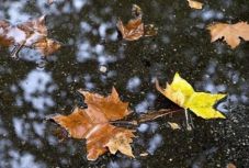 Időjárás: hamarosan jön a lehűlés