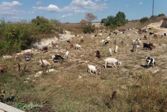 Erdélyből Tibetbe, Kőrösi Csoma Sándor nyomában: 31. nap – október 1. 