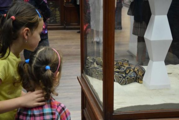 Kortárs „kakukktojásokra” bukkanhatunk Kolozsvár tudományos múzeumaiban