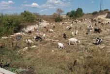 Erdélyből Tibetbe, Kőrösi Csoma Sándor nyomában: 31. nap – október 1. 